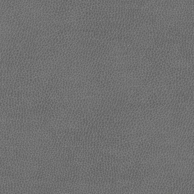 Nappa Fabrics Sangetsu Goodrich Thailand