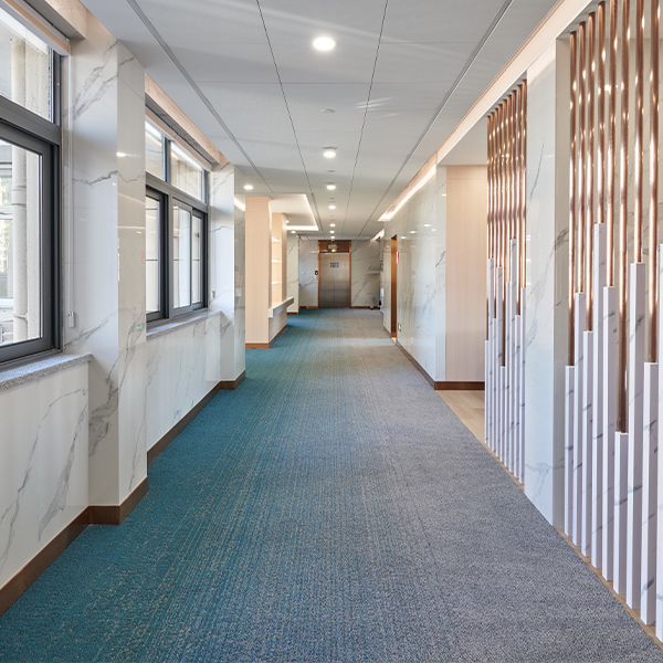 Color Sense Carpet