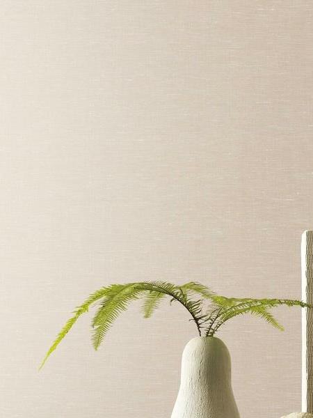 Bijou_ Wallpapers